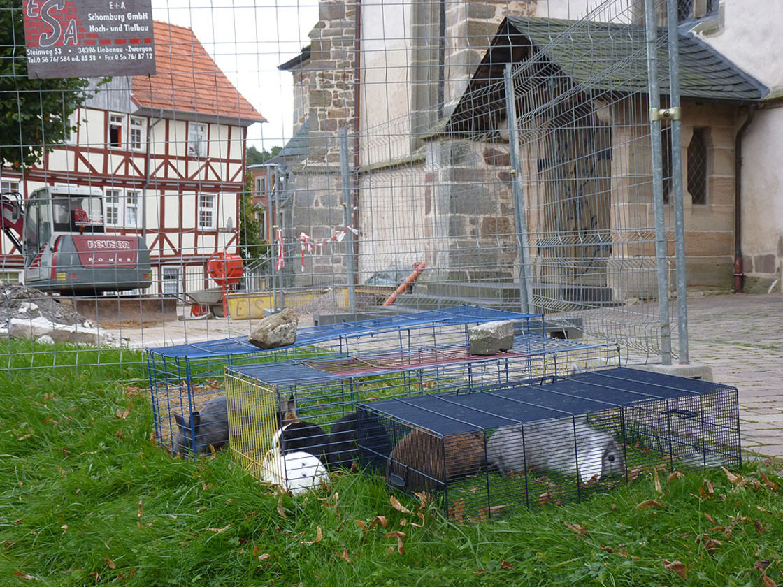 Pflaster- und Treppenarbeiten an St. Crescentius (Foto:Karl-Franz Thiede)